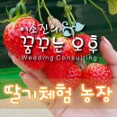 천애농장 네이버블로그