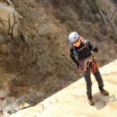 비둘기길 이미지