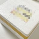 뽀끼 매니아 네이버블로그