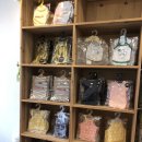 강아지를 미용하는 여자 이미지