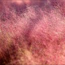 엘마르모텔 이미지