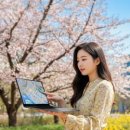 라이브스토어