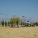 곡강초등학교 이미지