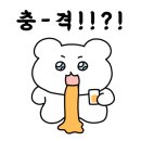 픽앤터틀 네이버블로그