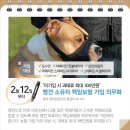 월 이미지
