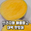 브리지팜 애플망고 후숙 효능 자르는 방법