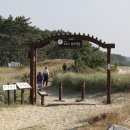 몽산포 송림 이미지