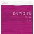 홍일표 지음 - 『홀림의 풍경들』(푸른사상, 2012） 이미지