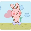 반도스파인 이미지