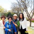 세종아트갤러리화랑 이미지