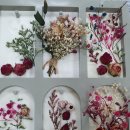 자연의 향기 이미지