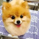 미쓰멍 이미지