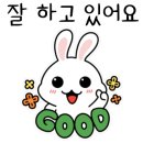 백마청소 이미지