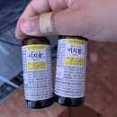 하늘빛 행정사무소 | 6월 초여름 3박4일 체험형 제주도 한바퀴 여행 2일차 일정 공유