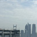 남구-117 | 부산 용호동 데일리 헤어 전문 정완 디자이너 경성대 미용실 염색 후기