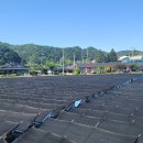 송이네펜션민박 이미지