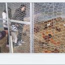 해룡농장 이미지