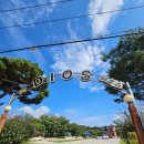 카페디오스 | 이천호국원카페 디오스 동물카페