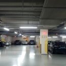 형제카독크 이미지