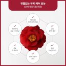 데이지케어 이미지