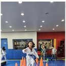 경용태권도 이미지