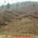 평택목장 이미지