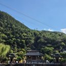 백마사 | [중국] 시안 4박5일 여행 일정 및 비용 정리(시안, 서안, 뤄양, 낙양, 중국 여행)