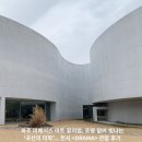 고대1100 | 파주 미메시스 아트 뮤지엄, 조명 없이 빛나는 '곡선의 미학'... 전시 <DRAMA> 관람 후기