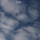 (주)오렌지크래프트 | 4.28 - 5.5 / 찍찍이와의 동거, 울 동네 쇼, 마인크래프트 무비