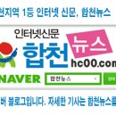 서흥여객자동차주식회사 이미지