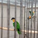 아성2농장 이미지