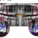 에코치과의원 이미지