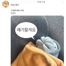 파주시티투어 MZ취향저격(금요일) | 시르면 니가 떠나 혜화는 아르코의 땅이야