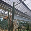 내유농장 이미지