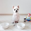 쏘밍컴퍼니 이미지