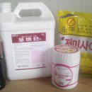 강옥축사 이미지