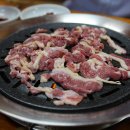 숲속의오리 이미지