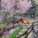 흙집섬진강풍경 이미지