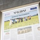 법인청춘