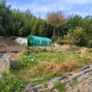 고성부동산중개사무소 이미지