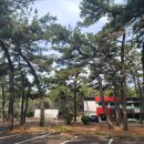 코모도호텔 포항 송도 이미지