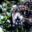 종로대중사우나 이미지