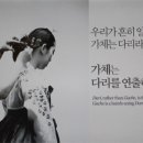 가체 이미지