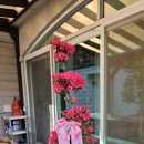 김명옥 펜션 이미지