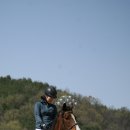 국제승마장 이미지