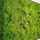 온누리의료재단 이미지