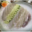 싱싱좋은날횟집 이미지