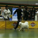 라봉