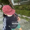 동촌캣 네이버블로그