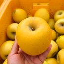 로타리 꽃농원 이미지